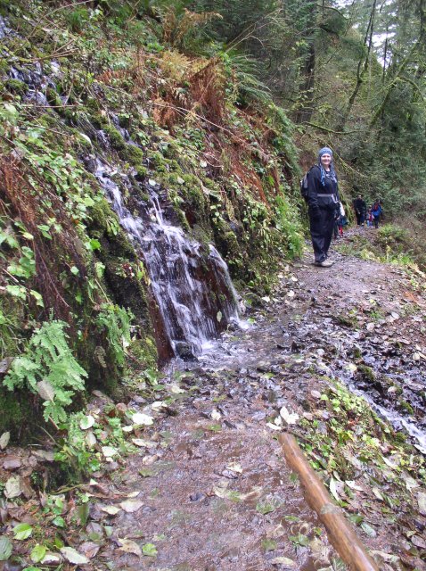 Waukeena Mult Falls 11.26.05 077 